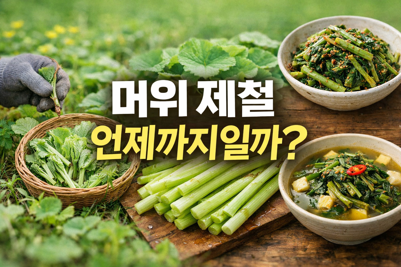 머위 제철 시기 언제까지일까?