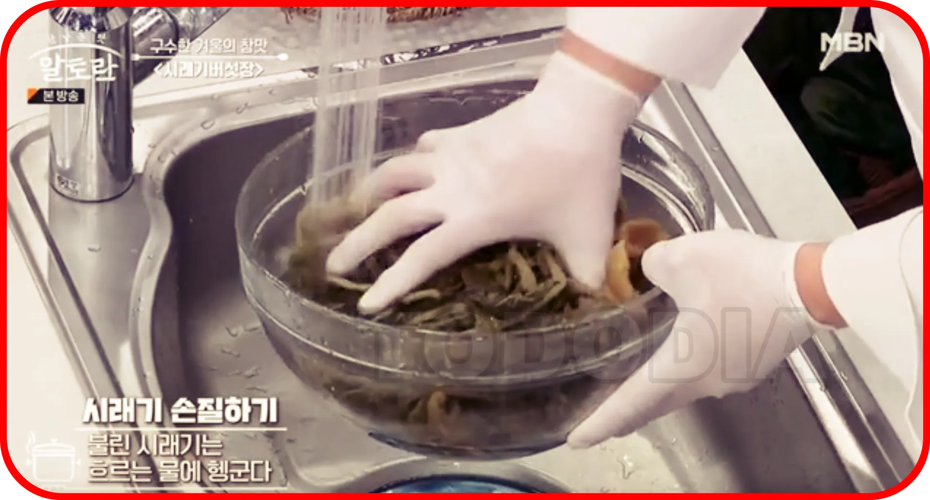 불린시래기 흐르는 물에 헹굼