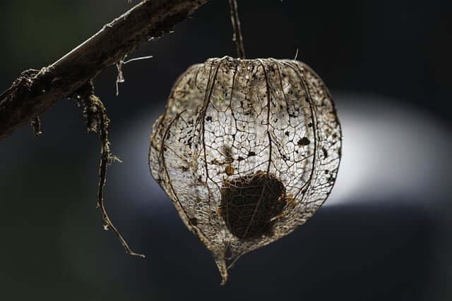 2025 울산불꽃축제 연기 날짜 및 일정