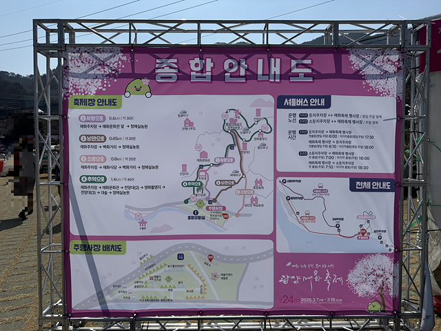 광양 매화축제 개화상황 실시간 사진 입장료