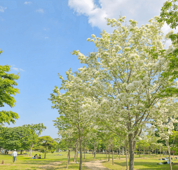 을숙도-철새공원