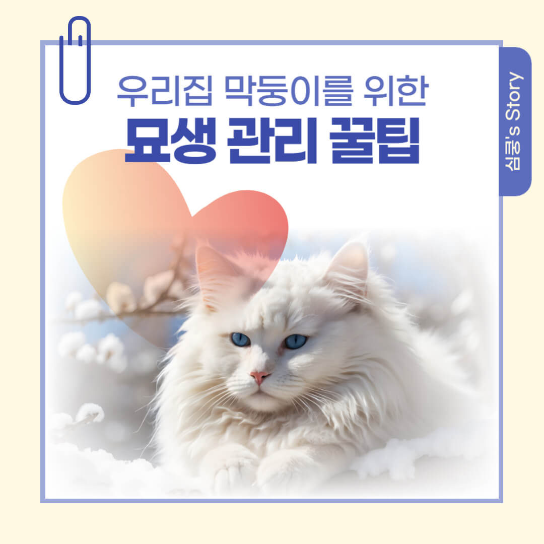 고양이에게 좋은 장난감 vs 시간 낭비템