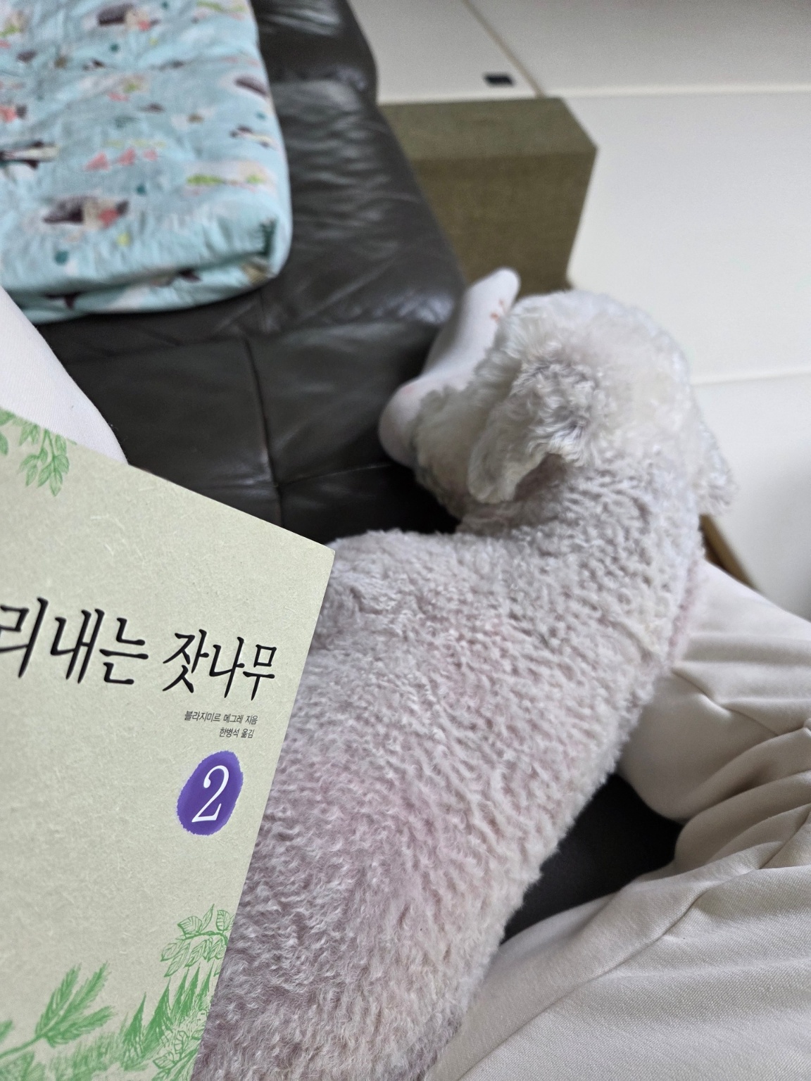 아나스타시아 2권 소리내는 잣나무 후기 ❘ 주는 삶에 대해 생각하게 된 이유