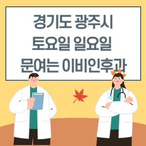 경기도 광주시 토요일 일요일 이비인후과 진료 문여는 병원 리스트