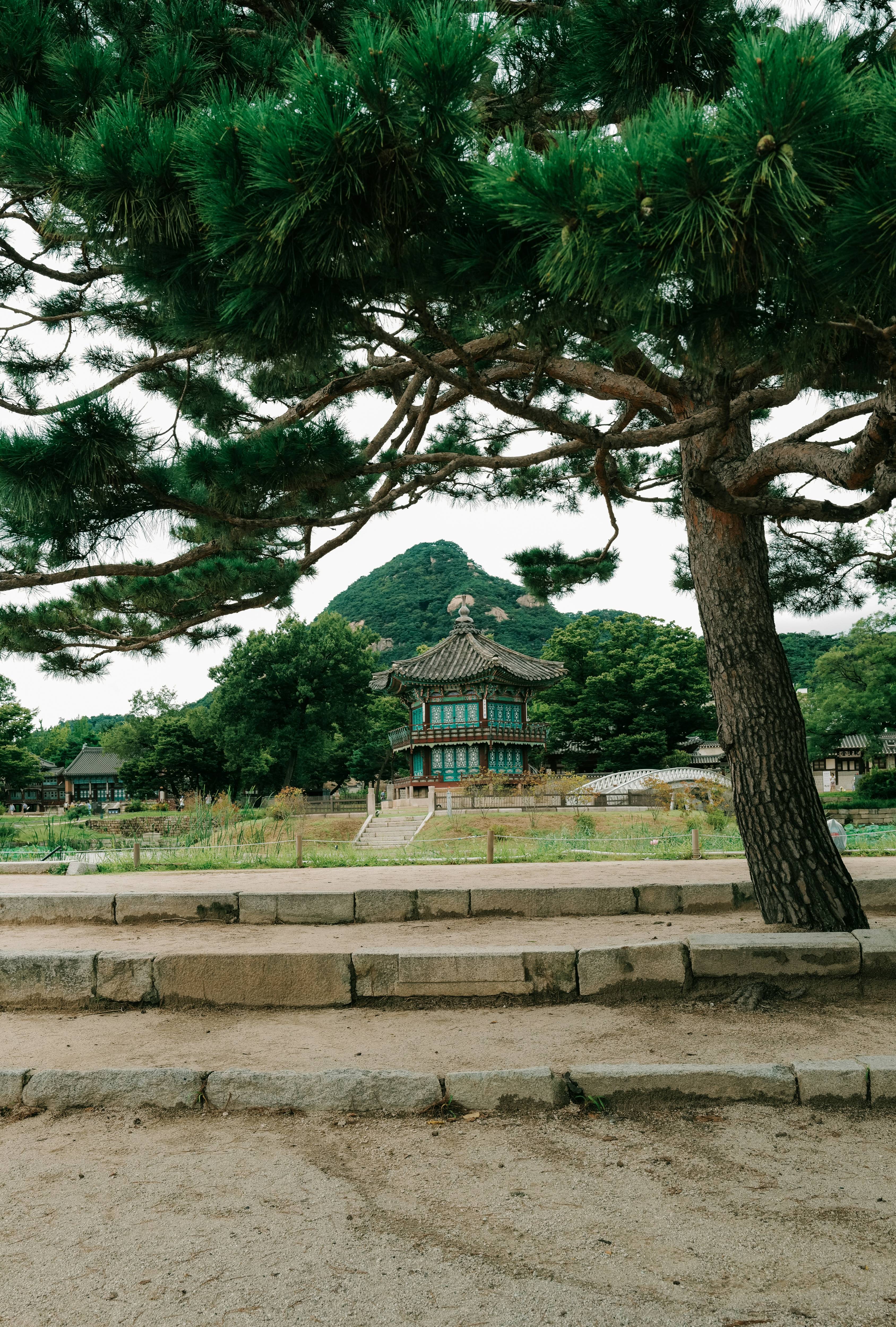 한국 이미지들