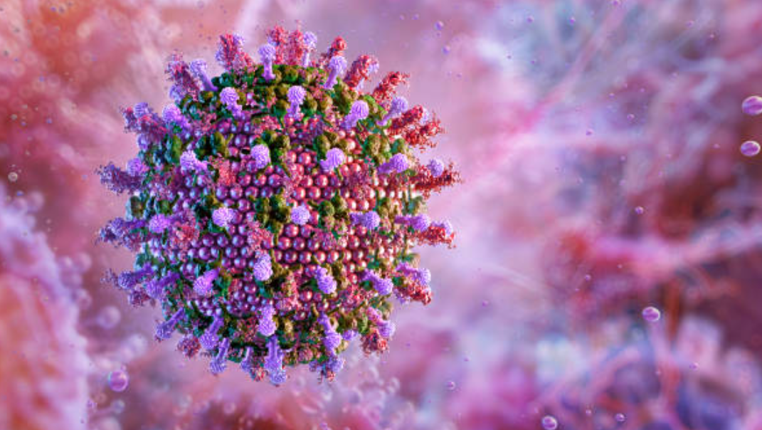 인플루엔자와 관련된 사진