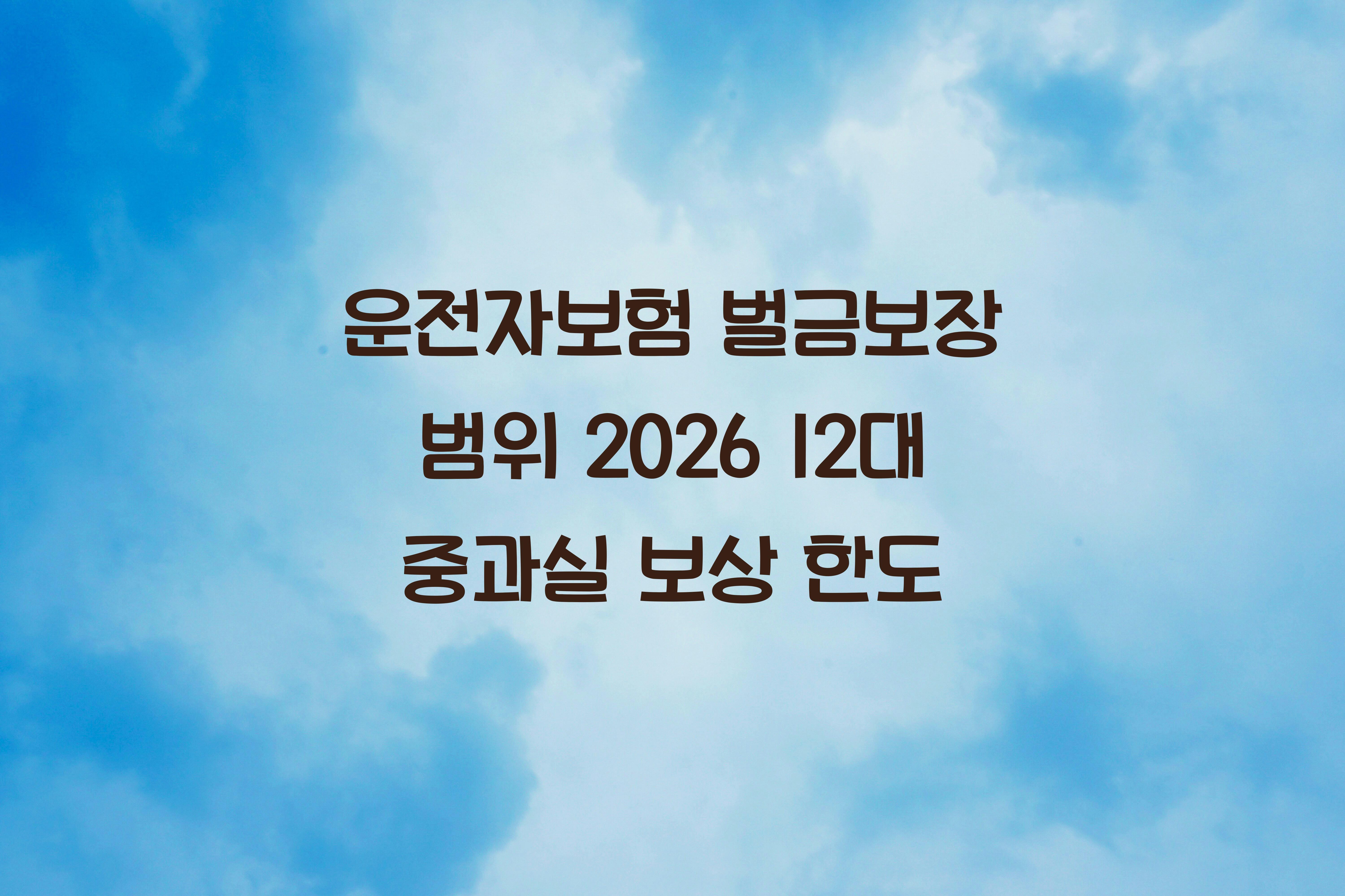 운전자보험 벌금보장 범위