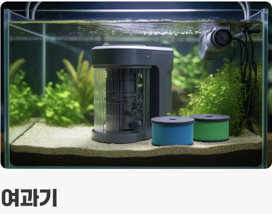 수중 세계를 위한 필수 장비