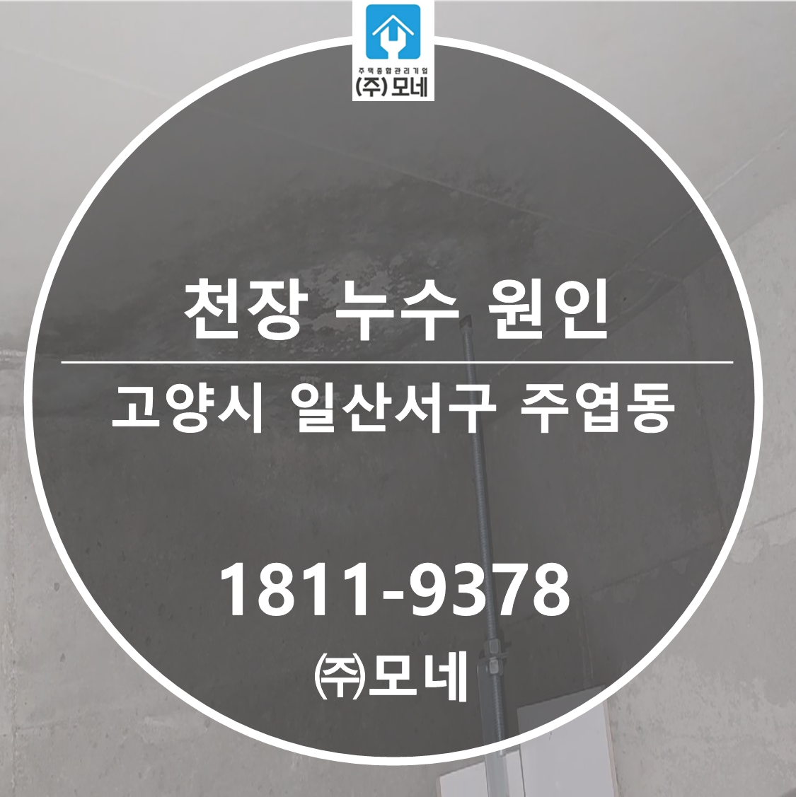 일산 누수탐지 서구 주엽동 3단계 점검 천장 누수 원인 피해복구