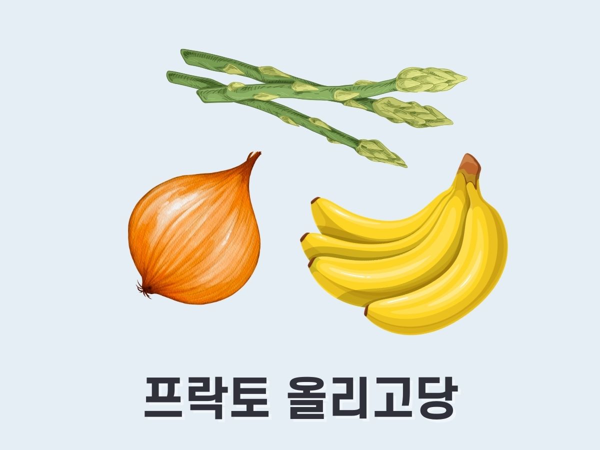 프락토 올리고당
