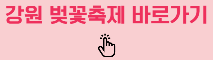 강원 벚꽃축제