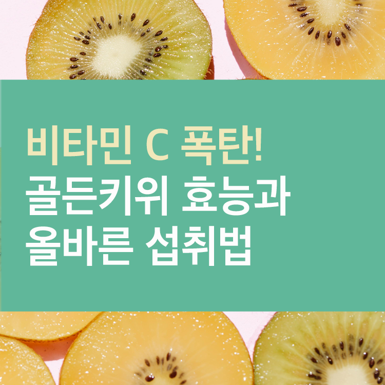 골든키위 효능 총정리