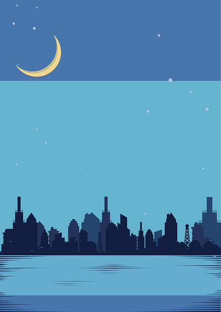 각 나라별 디지털 노마드 비자 제도