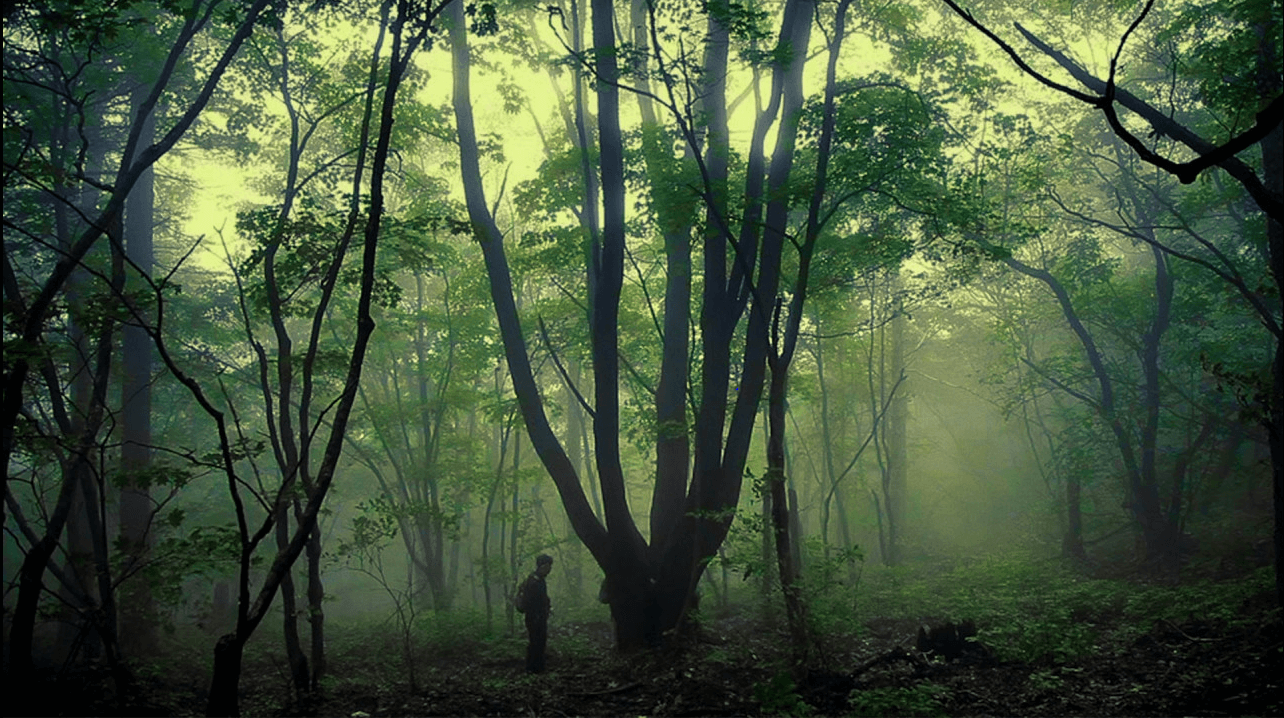 영화 종이 울리는 순간 스틸컷