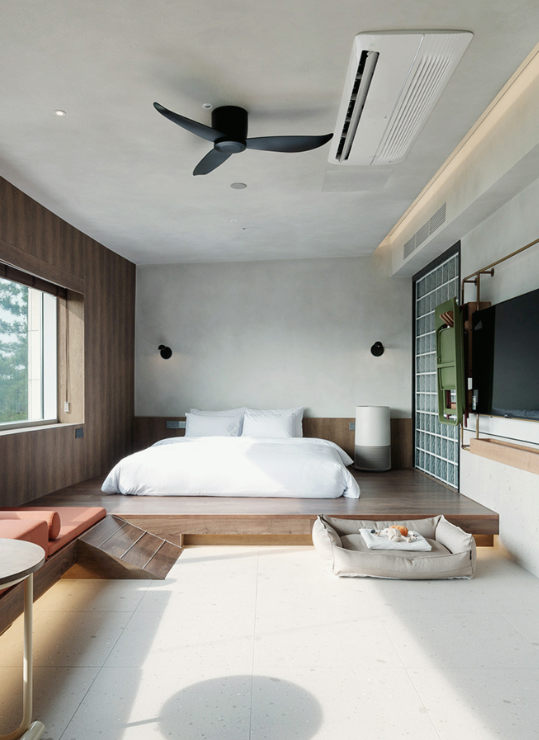 펫캉스 가능한 호텔 BEST 5