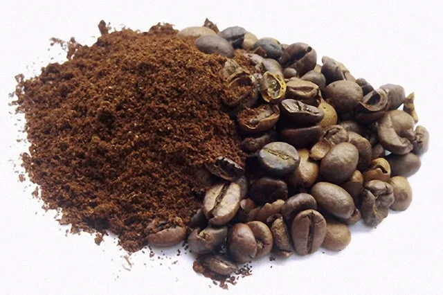 커피찌꺼기 퇴비 활용 비료대체 냄새관리 양조절 안전사용 팁_8