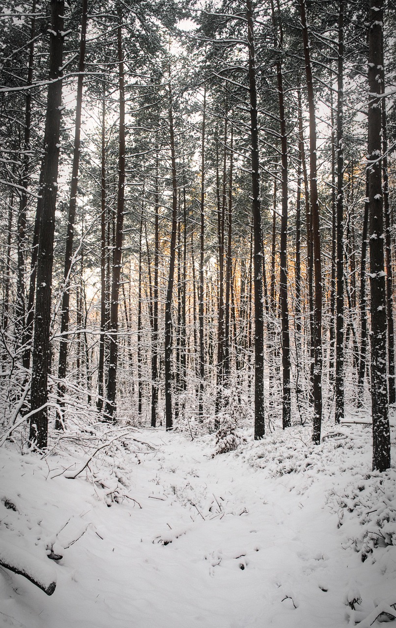 돌아기 겨울철 여행지 추천