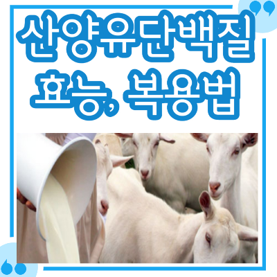 산양유단백질 효능&#44; 먹는법 정리