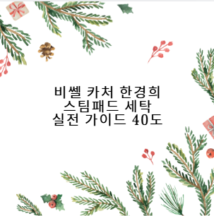 비쎌 카처 한경희 스팀패드 세탁 실전 가이드 40도