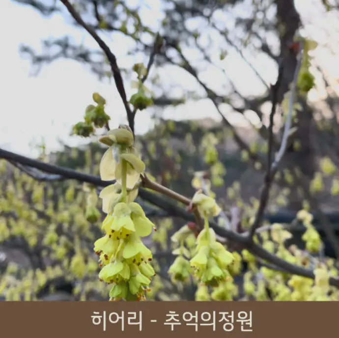 화담숲 테마
