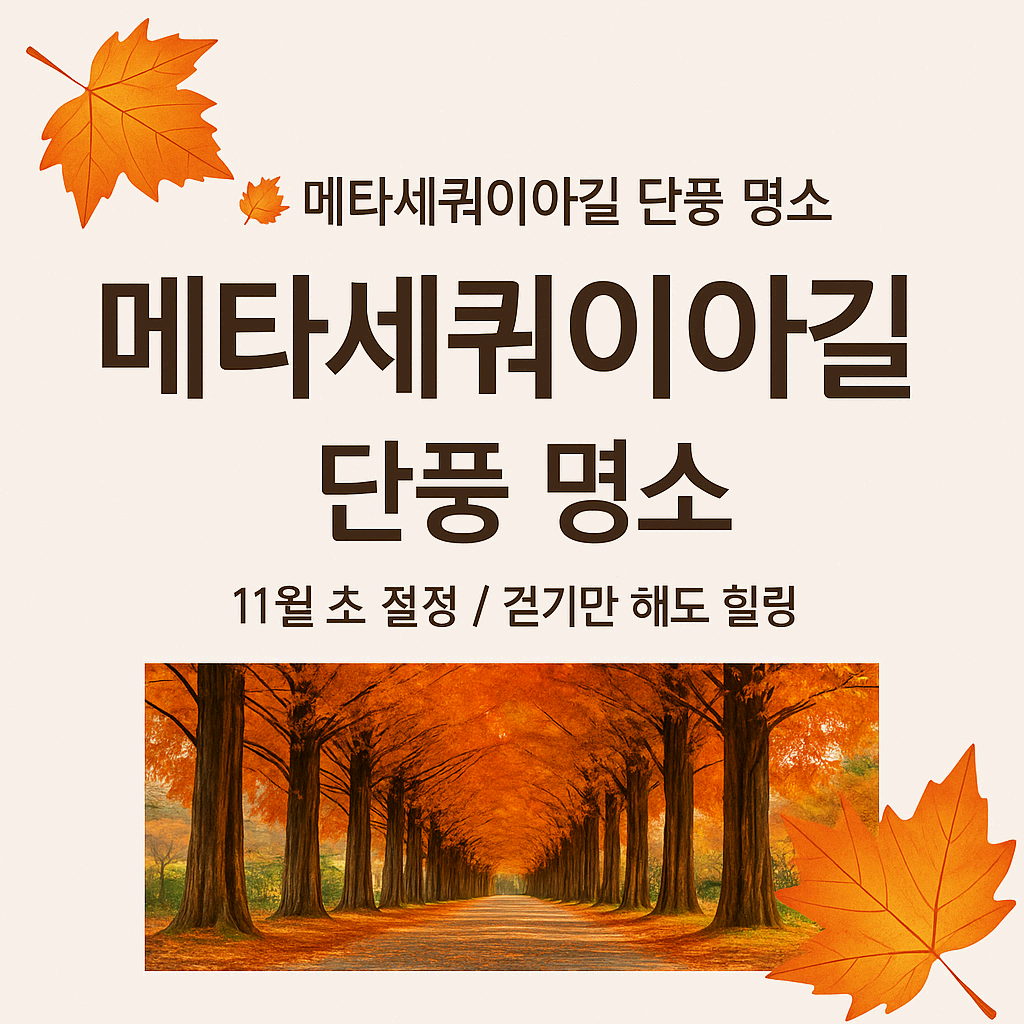 단풍 구경가볼만한곳