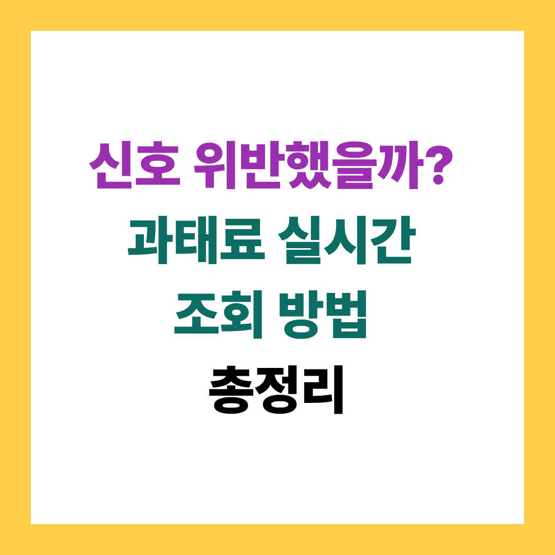 신호 위반했을까? 과태료 실시간 조회 방법 총정리