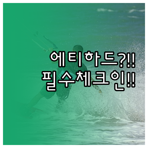 에티하드 온라인 체크인 좌석 선택과 ..