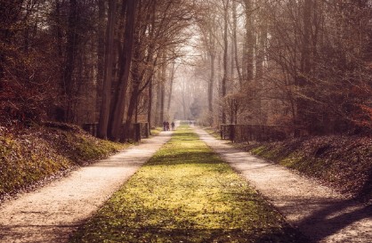 걷기운동 효과 하루 7천 보