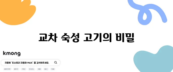 더 맛있는 녀석들 백갈비 - 교차 숙성 고기와 정자역 맛집의 비장의 무기 특집을 소개합니다