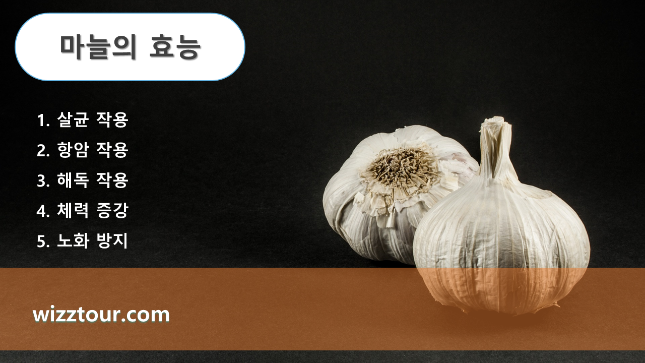 마늘의 효능에 대한 설명 이미지