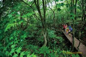 4월 제주도 가볼만한 곳 10곳