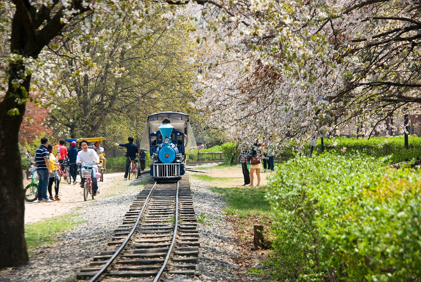 춘천 가볼만한곳