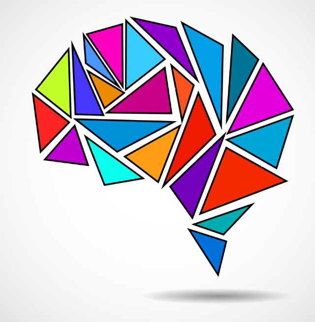 뇌과학 관련 그림