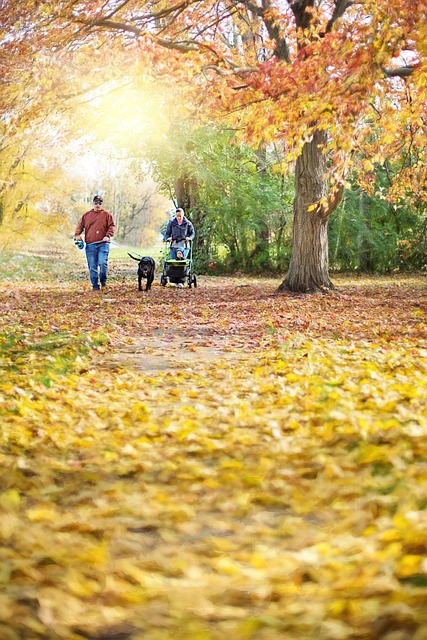 가을 가족 여행(단풍)