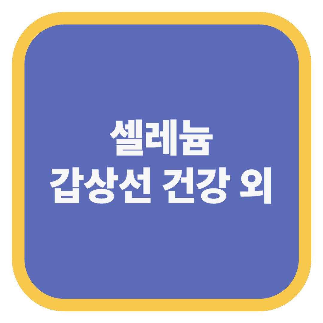 셀레늄 갑상선 건강 외