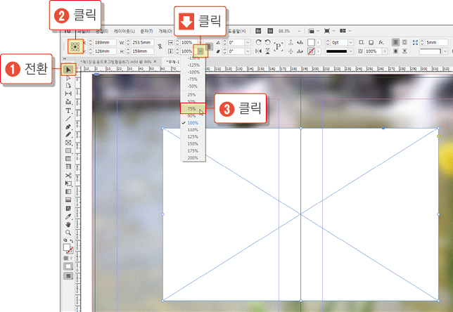 카메라 포커스12