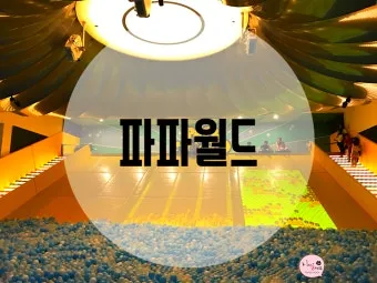 제주도 비올때 가볼만한곳 10곳 추천 실내 관광지로 모음_20