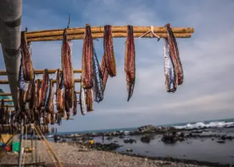 과메기 가격 및 효능, 영양성분과 주의점