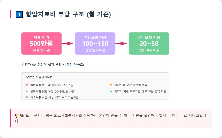 유방암 항암치료비 구성 및 보험 적용 범위 인포그래픽