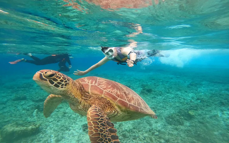 필리핀 보홀여행 패키지 여행 필수 코스_2