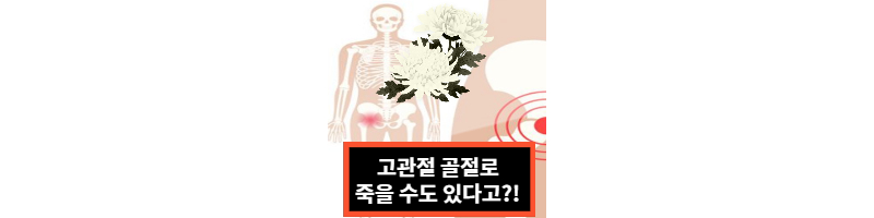 고관절-골절