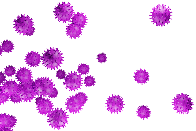 월세보증금 담보대출 5
