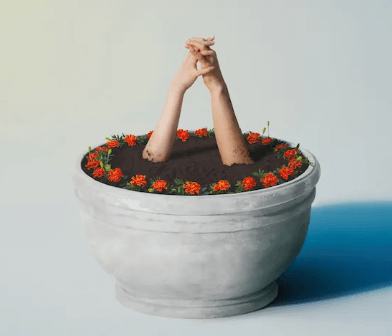 마리골드 앨범 표지