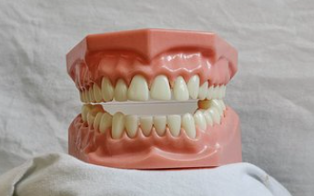 어금니가-빠지는-꿈-사진