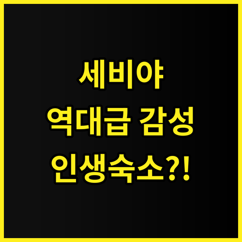 슬로우 스위트 살바도르 추천 세비야 ..