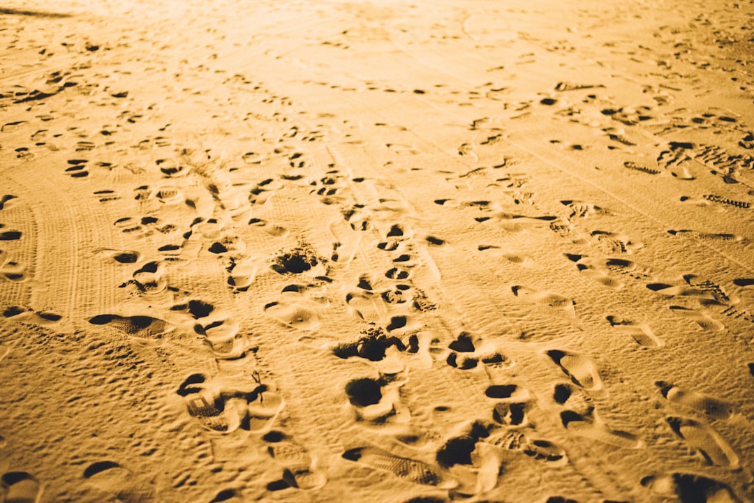 Migration