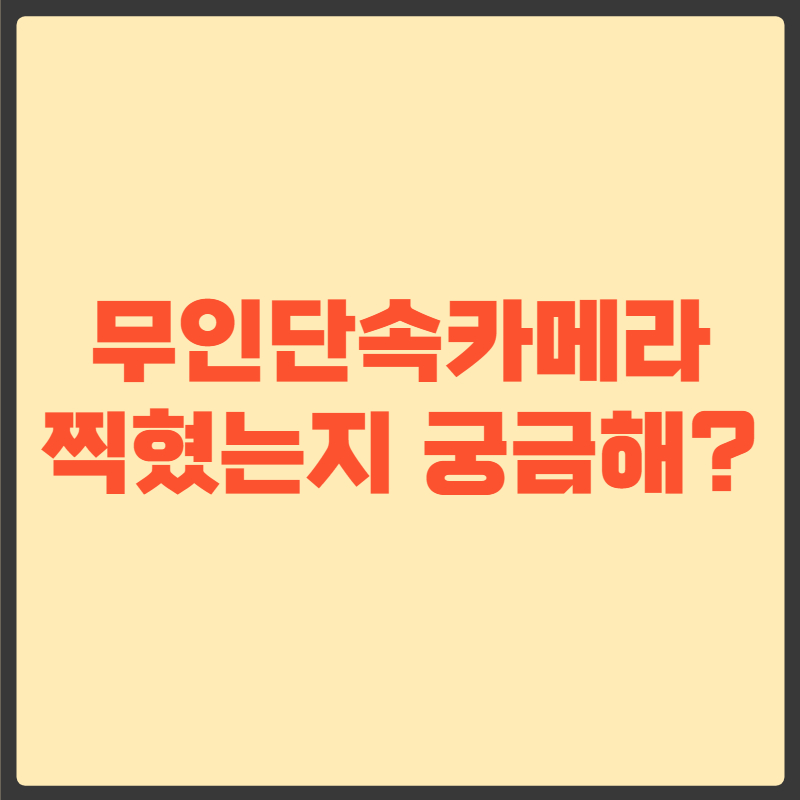 무인단속카메라 조회