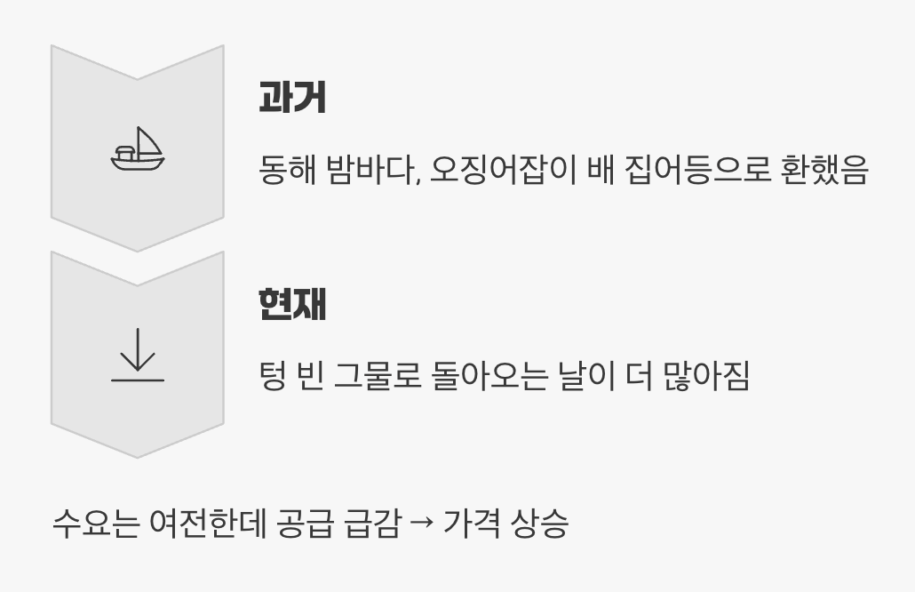 우리 바다에서 사라진 오징어 떼