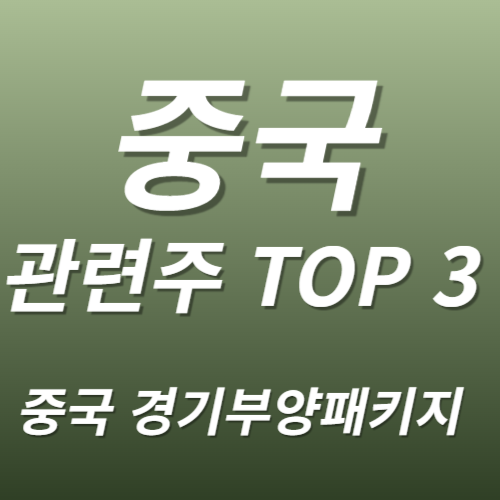 중국 관련주 수혜주