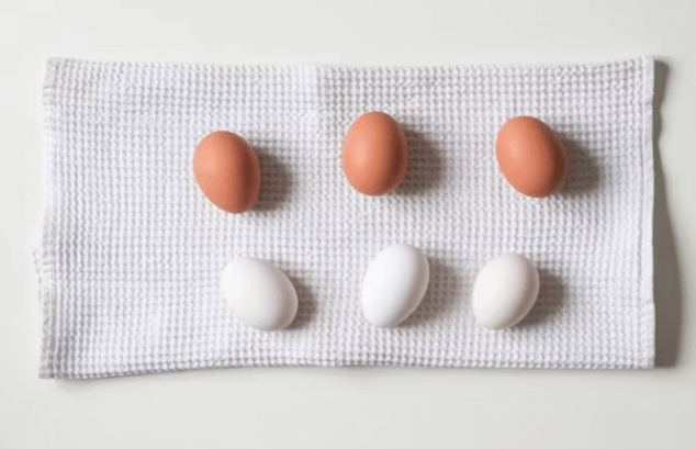 고단백 식단: 근육 유지와 포만감 잡는 안전한 3단계 전략